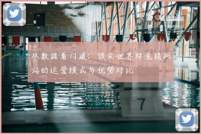 从数据看门道:顶尖世界杯竞猜网站的运营模式与优势对比