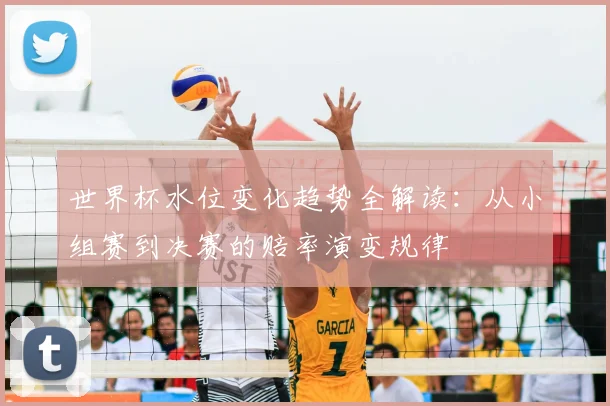 世界杯水位变化趋势全解读：从小组赛到决赛的赔率演变规律