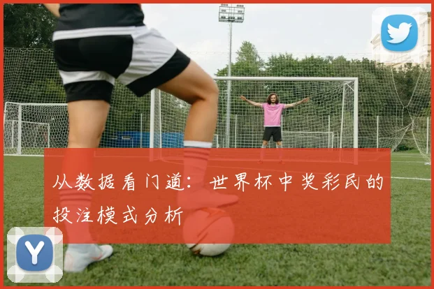 从数据看门道:世界杯中奖彩民的投注模式分析