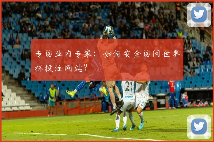专访业内专家:如何安全访问世界杯投注网站?