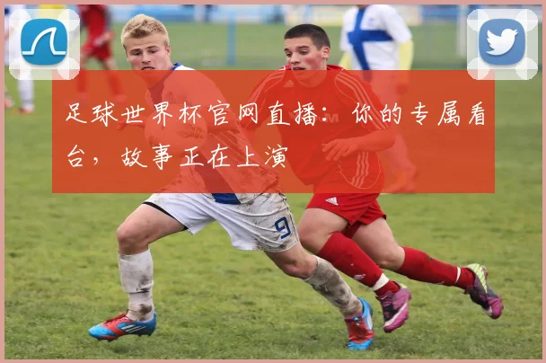 足球世界杯官网直播：你的专属看台，故事正在上演