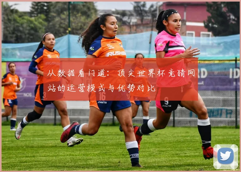 从数据看门道：顶尖世界杯竞猜网站的运营模式与优势对比