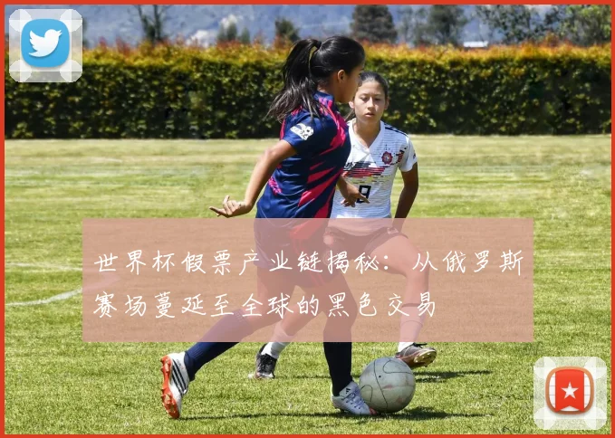 世界杯假票产业链揭秘：从俄罗斯赛场蔓延至全球的黑色交易