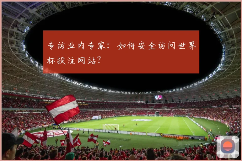 专访业内专家：如何安全访问世界杯投注网站？