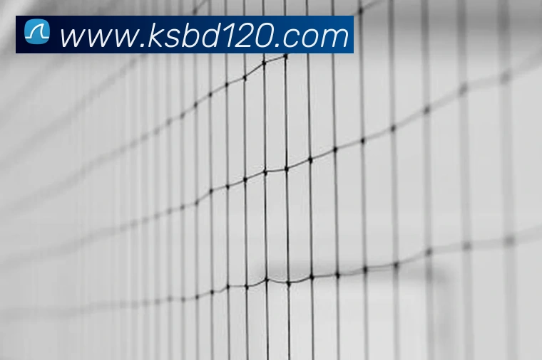 开yun体育app网页版登录入口APP 体育赛事宣传图